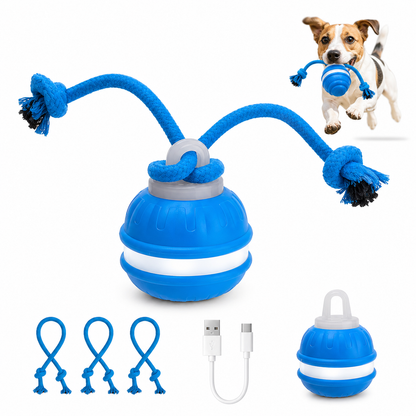 Smart Interactive Dog Toy Ball – USB Rechargeable