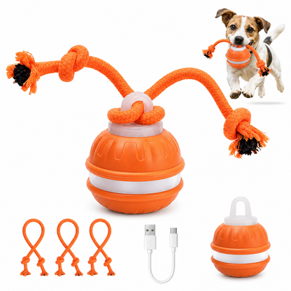 Smart Interactive Dog Toy Ball – USB Rechargeable